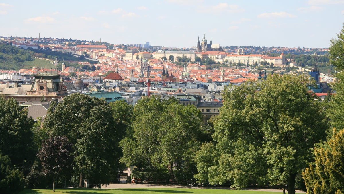 Riegrovy sady v Praze 2 - revitalizace oblasti hlavního výhledu na Pražský hrad